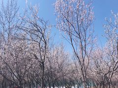 -吉林大学(前卫南区)