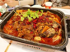 -蜀腾川·火锅鱼.烤鱼(新世界城店)