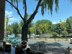 -沙力海美食城 西北特色菜 烤肉店(北门坡店)