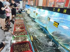 -望海潮海鲜店 特色家常菜(在海一方店)