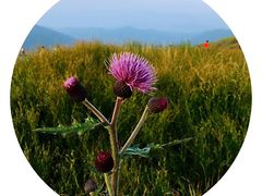 -萍乡武功山风景名胜区