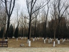 -东升八家郊野公园