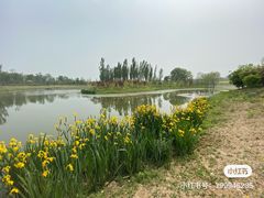 -东郊湿地公园