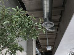 -喜茶(珠海华发商都店)