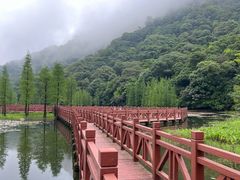 -广州市石门国家森林公园