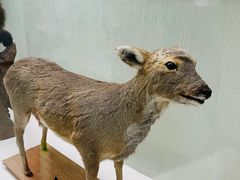 -国家自然博物馆