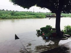 -乡乐园蟹庄·阳澄湖农家乐