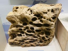 -上海中国航海博物馆