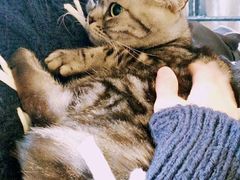 -藦茜花园宠物主题亲子互动体验馆(国顺东路店)