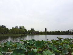 -西海子公园