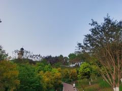 -金海湾滨江公园