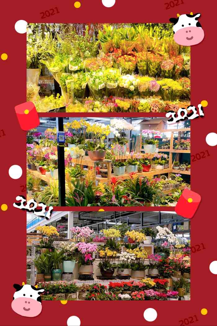 蟹岛国际花卉-"蟹岛里新开业的花卉市场,里面很宽敞,环境.
