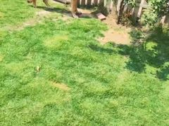 -趣玩宠物乐园寄养训犬训狗游泳池