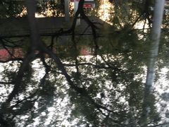 -中国石化管庄加油站