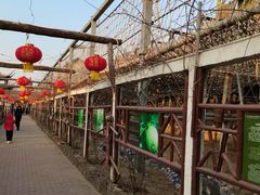 -呀路古热带植物园
