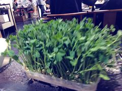 -捞王锅物料理(上海世茂广场店)