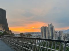 -福道