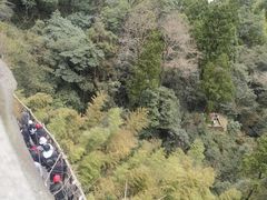 -雁荡山风景名胜区