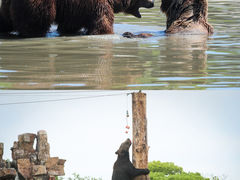 -上海野生动物园