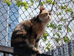 -里面·Noodlology(机电院店)