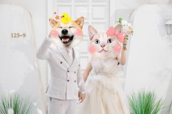 -韩国艺匠ARTIZ STUDIO(天津店)