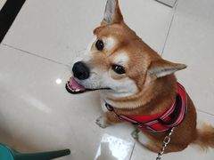 -美联众合24小时·皮肤科·外科·全科诊疗中心(华苑分院)