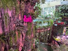 -正佳雨林生态植物园