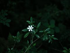 -环球公园