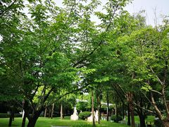 -唐城墙遗址公园