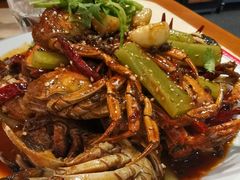 -杨氏青龙虾·羊蝎子(珠江路店)