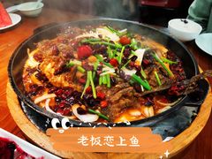 -老板恋上鱼(振华商厦店)