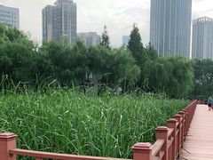 -西北湖绿化广场
