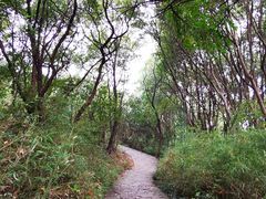 -白马涧龙池景区