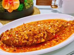 -金鼎轩(亚运村店)