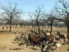 -西安秦岭野生动物园