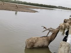 -宁波杭州湾国家湿地公园