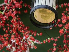 -御池园(顾村公园店)