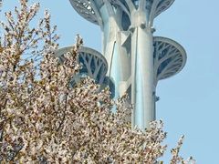 -北京奥林匹克公园
