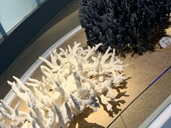 -中国（海南）南海博物馆