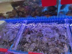 -洲晓鲜·舟山海鲜大排档(朱家尖风景区店)