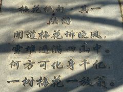 -无锡梅园公园
