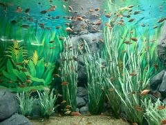 -上海海洋水族馆