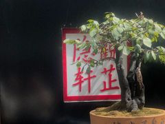 -觀芷隐轩