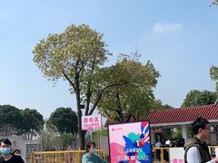 -顾村公园3号门停车场