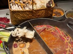 -大龙燚·旷野鲜火锅(广州首店)
