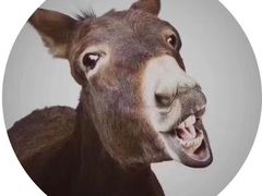 -锦尚阁烤鱼(望京新荟城店)