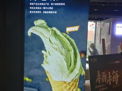 -野人牧坊Gelato(天津南开大悦城店)
