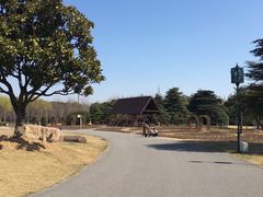 -上海滨江森林公园