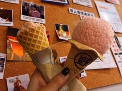 -野人牧坊Gelato(天津南开大悦城店)
