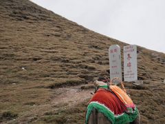 -日月山景区